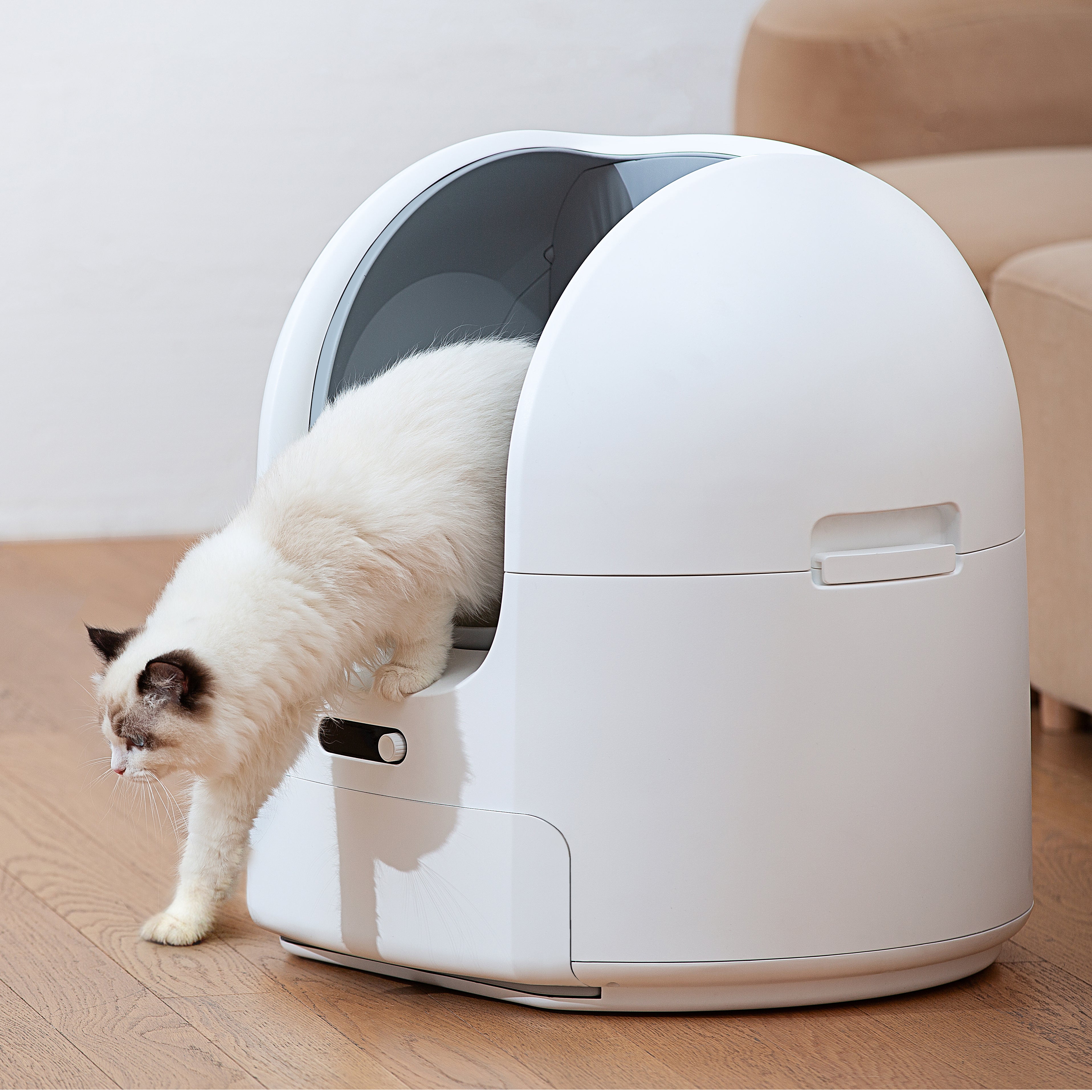 ChouBox | The Ultimate Automatic Litter Box