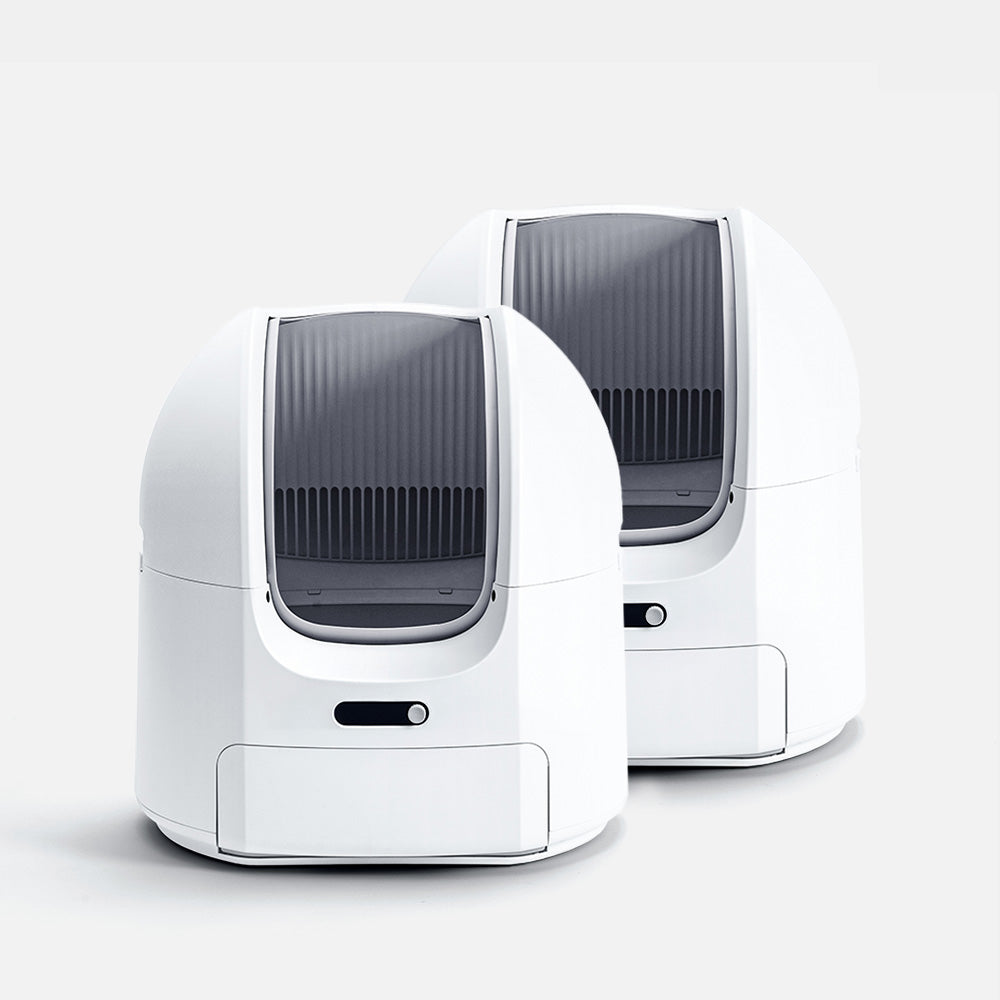 ChouBox | The Ultimate Automatic Litter Box
