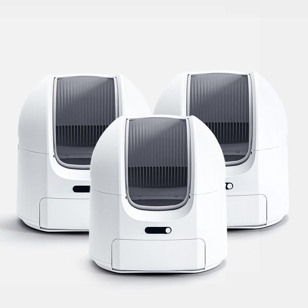 ChouBox | The Ultimate Automatic Litter Box