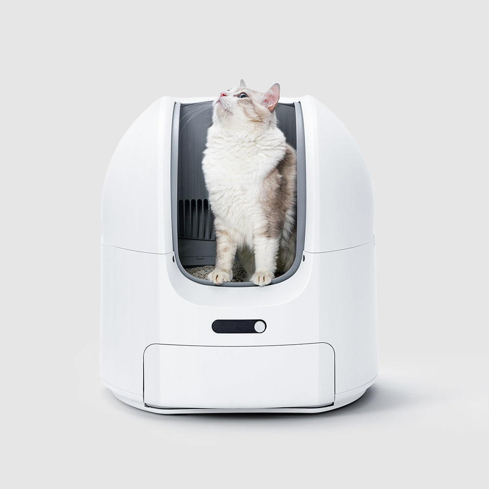 ChouBox | The Ultimate Automatic Litter Box