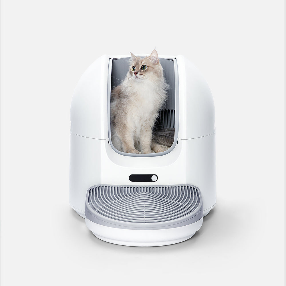 ChouBox | The Ultimate Automatic Litter Box